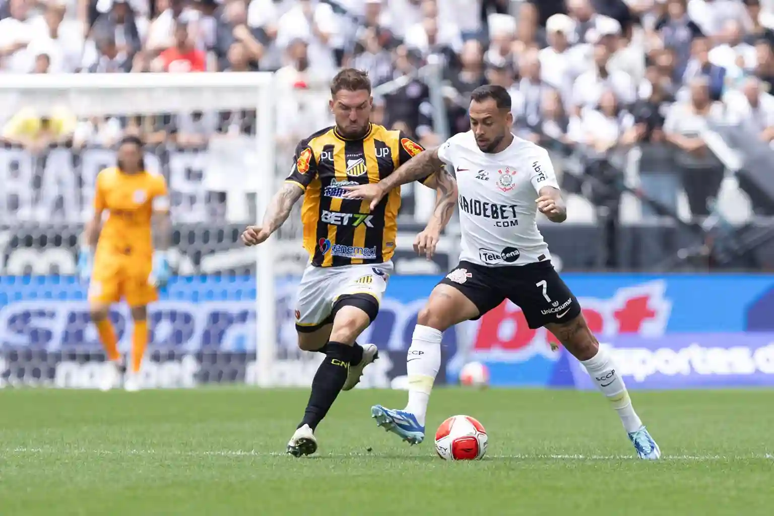Corinthians tem vantagem sobre o Novorizontino - Confira os jogos entre as equipes pelo Paulistão